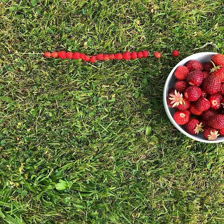 Barnevennlig Med Og Hage - Wifi