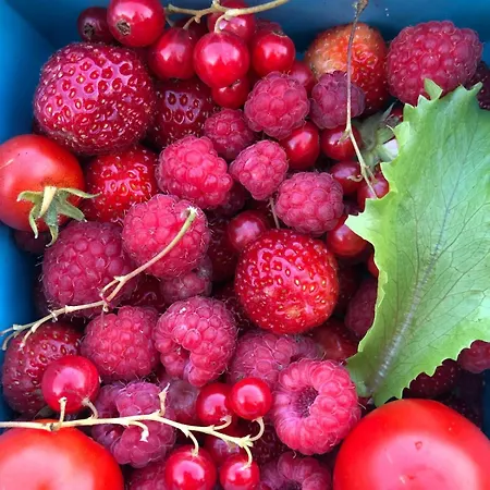 Barnevennlig Med Og Hage - Wifi *