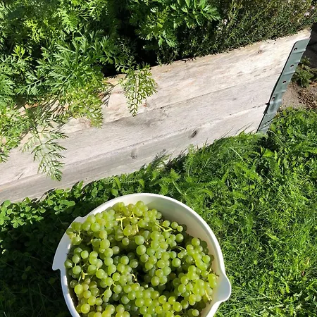 Vila Barnevennlig Med Og Hage - Wifi