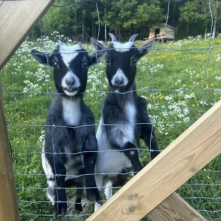 Barnevennlig Med Og Hage - Wifi Vila *
