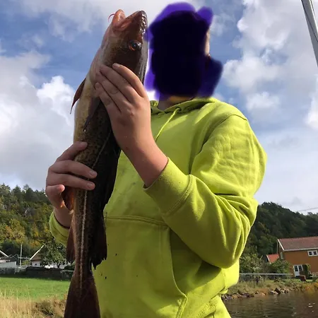 Barnevennlig Med Og Hage - Wifi Søgne