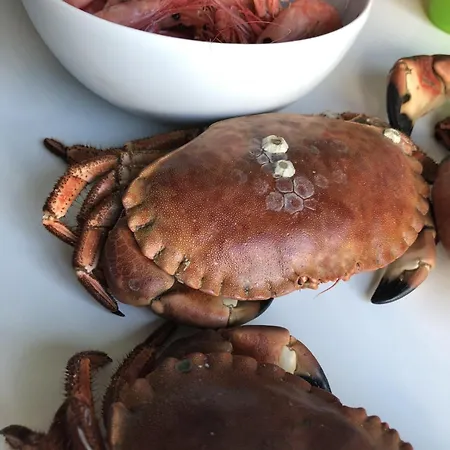 Βίλα Barnevennlig Med Og Hage - Wifi