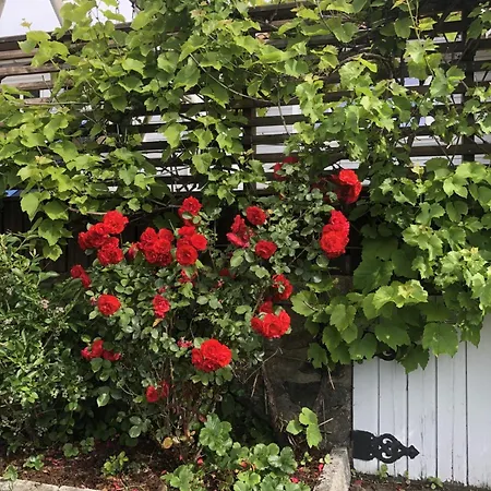 Vila Barnevennlig Med Og Hage - Wifi Søgne