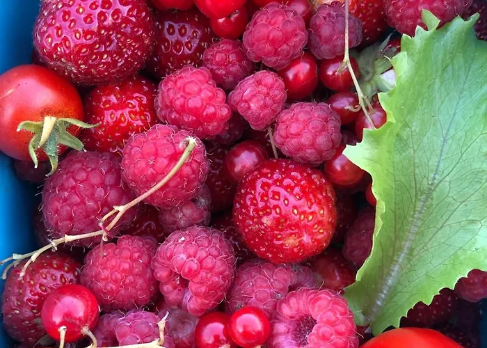 Barnevennlig Med Og Hage - Wifi *