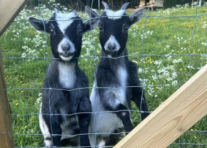 Barnevennlig Med Og Hage - Wifi 别墅 *