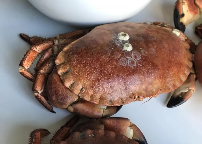 别墅 Barnevennlig Med Og Hage - Wifi