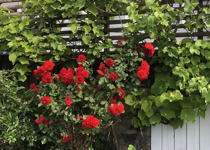 别墅 Barnevennlig Med Og Hage - Wifi Søgne